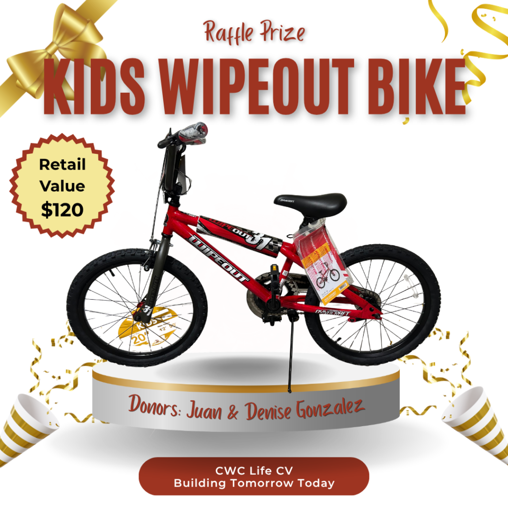 Kids Wipeout Bike